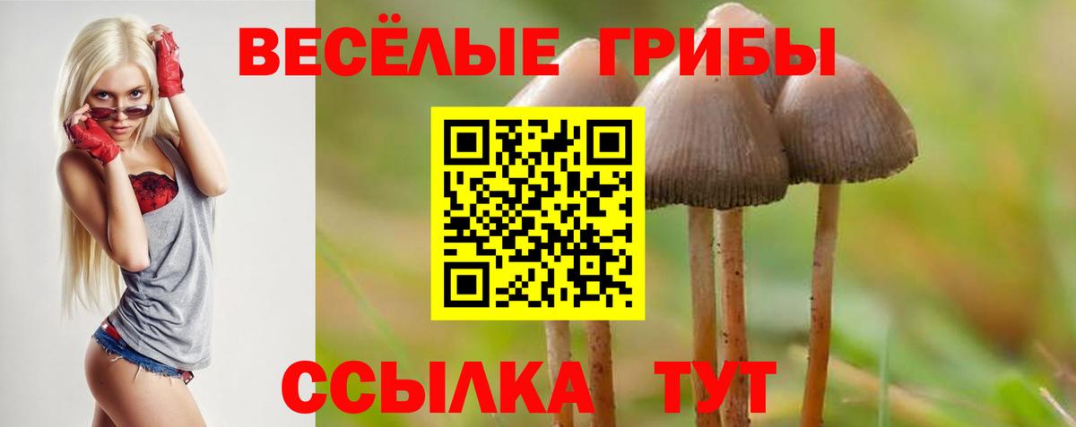 Симферополь  Галлюциногенные грибы ЛСД  Вход с VPN 